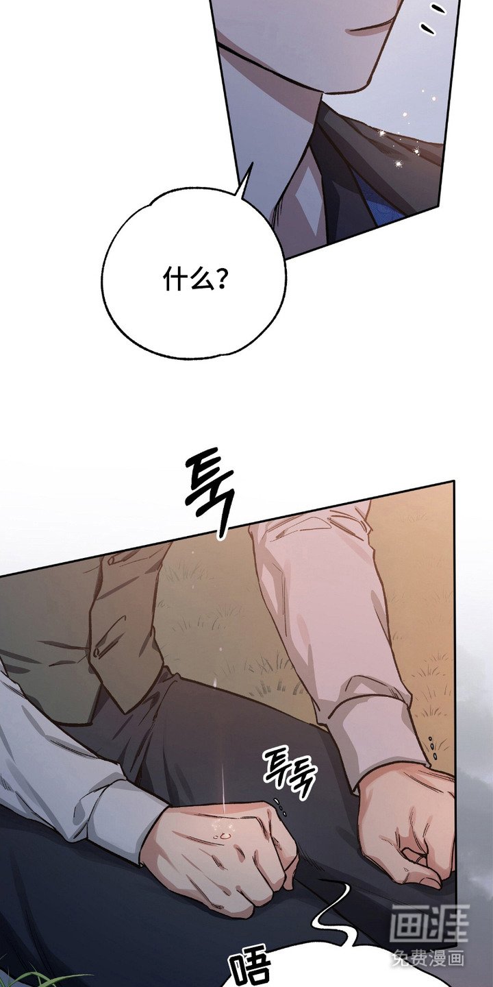 第8章：愿望