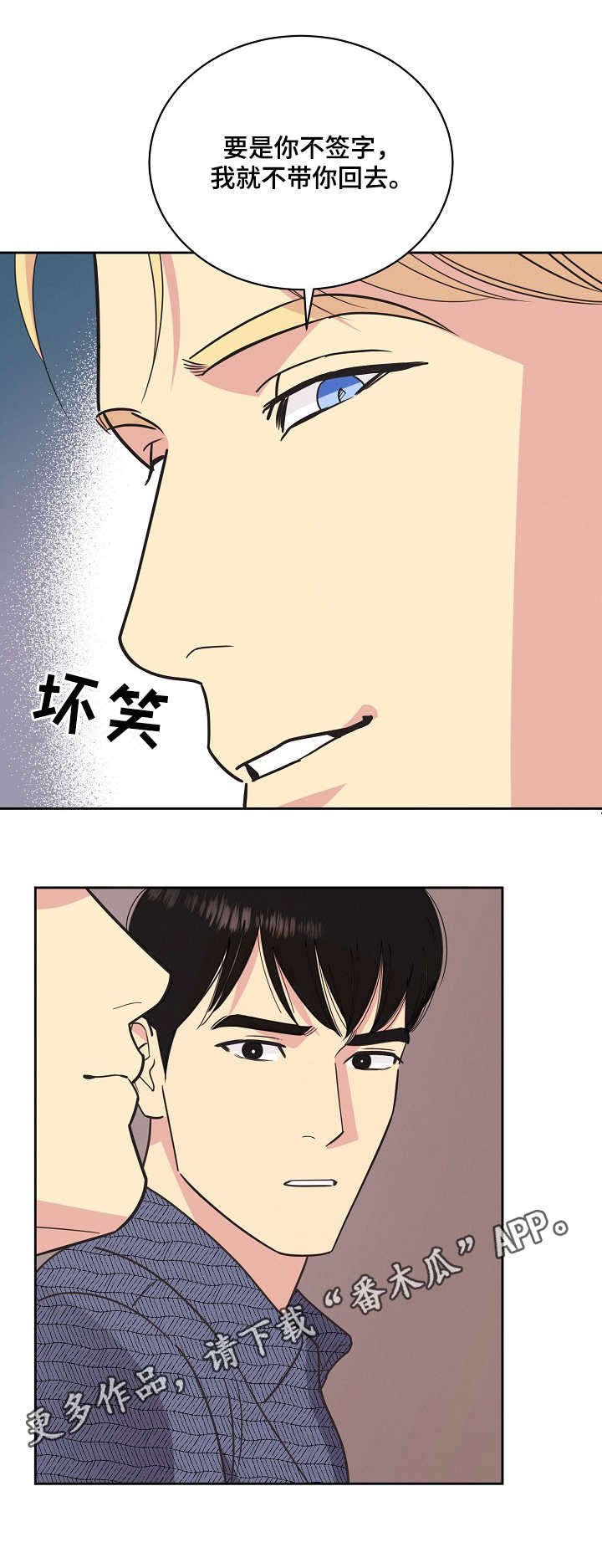 第19章：条款