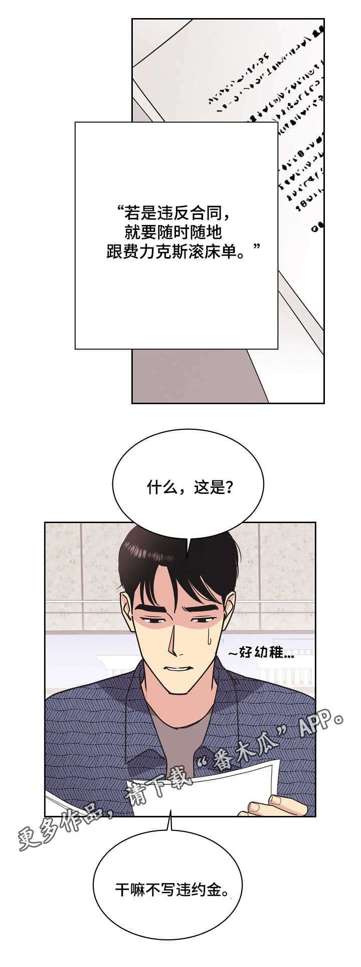 第19章：条款