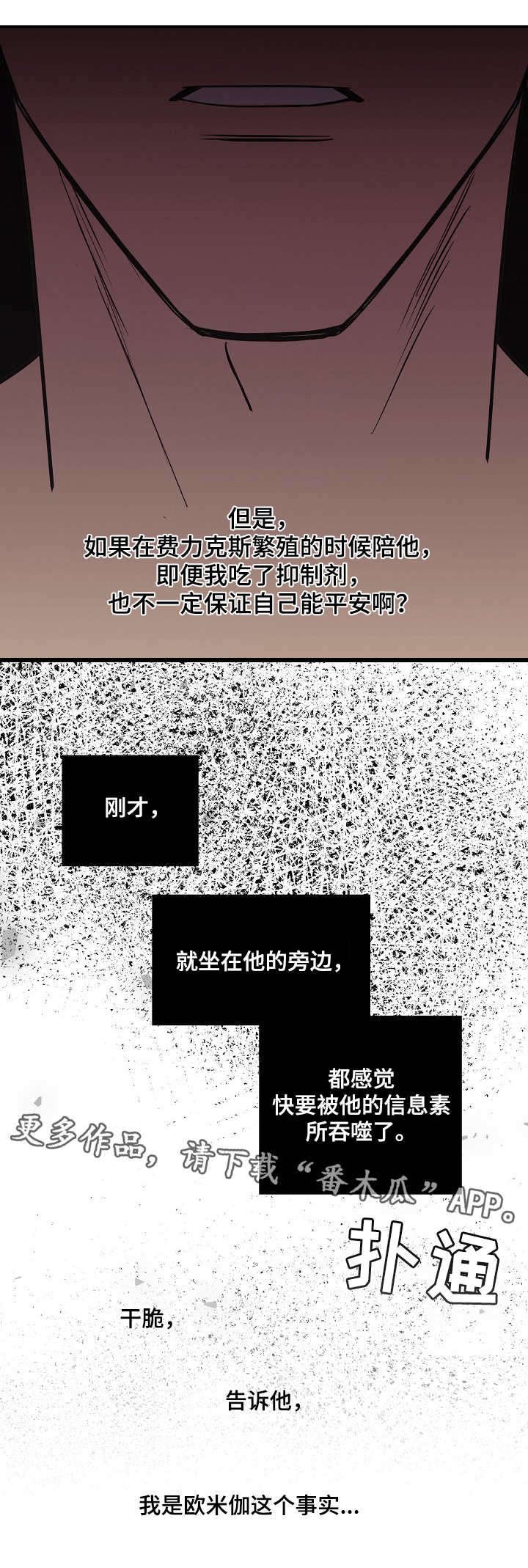 第19章：条款
