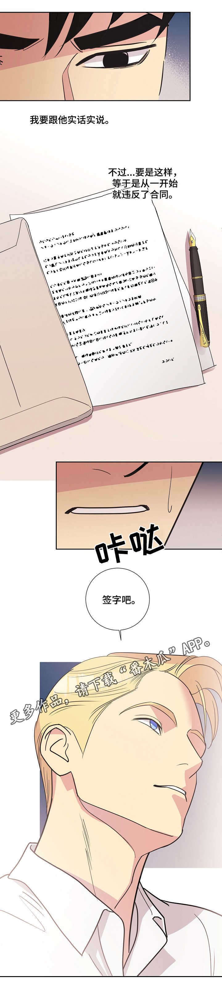第19章：条款