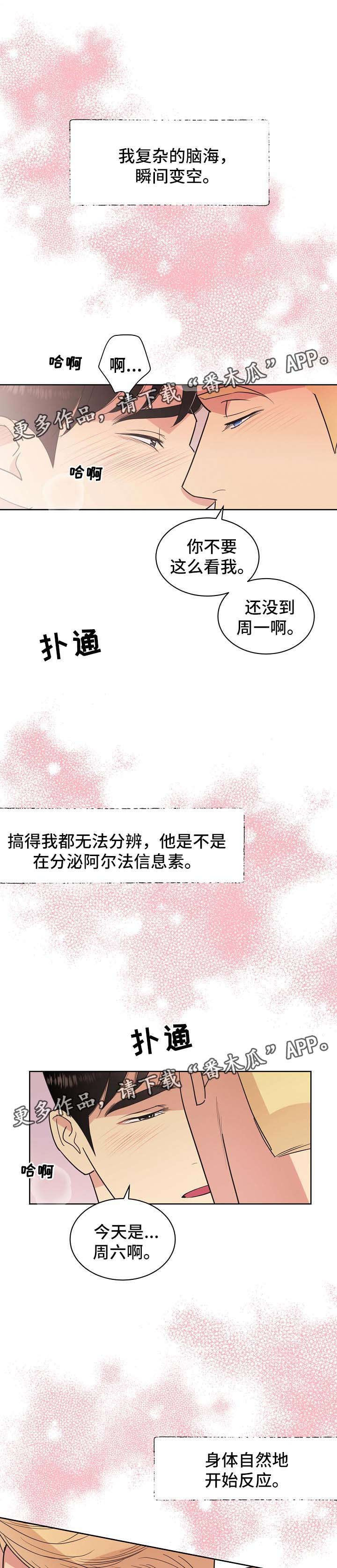 第40章：不能被发现