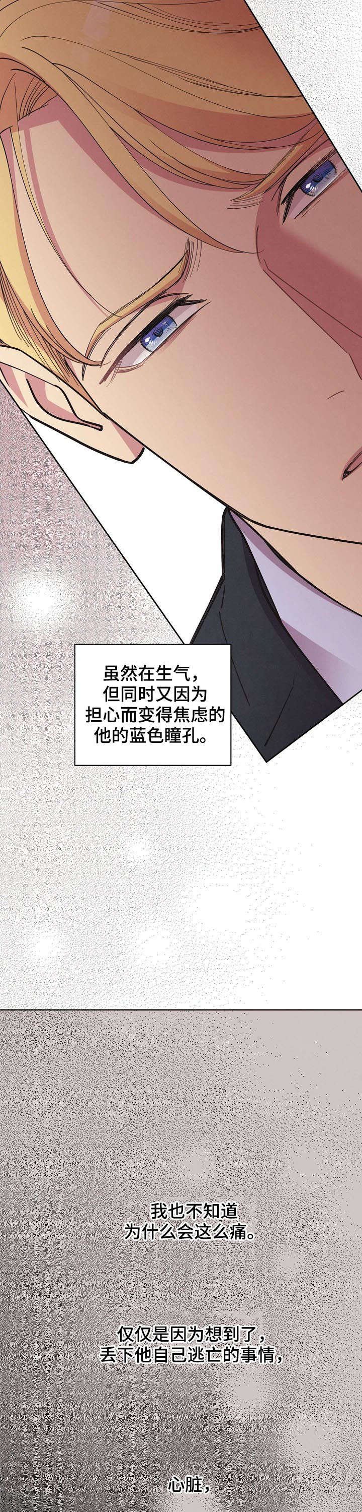 第55章：【第二季】遗憾的感情