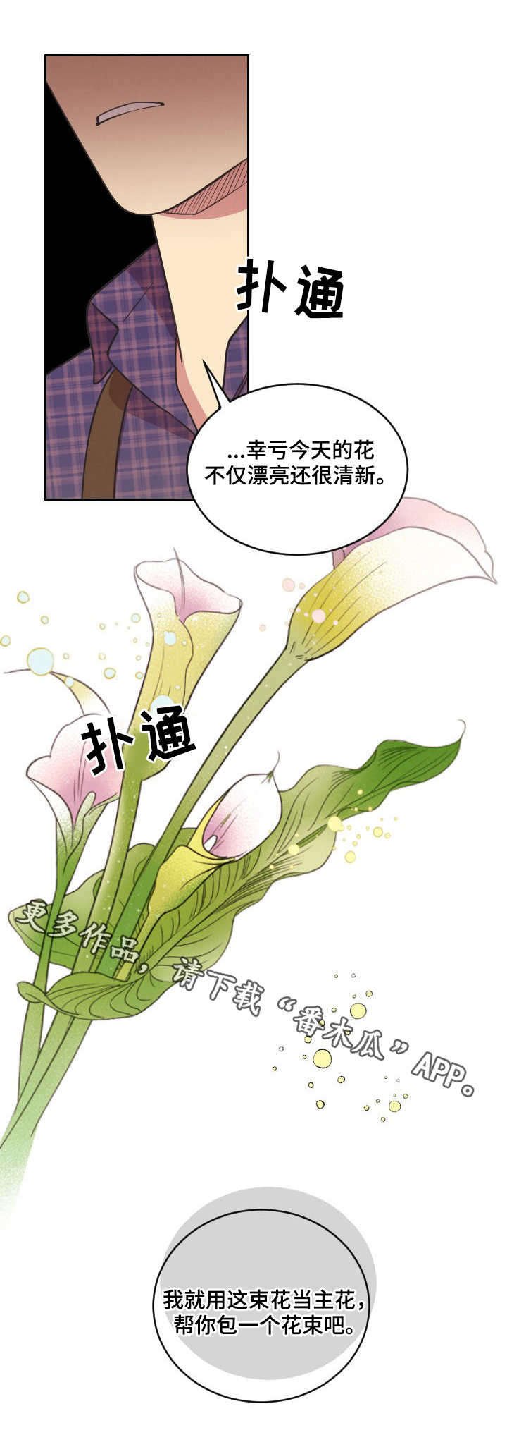 第6章：本杰明