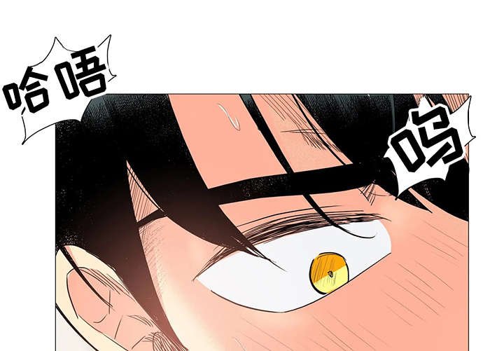 第10章：动真格的