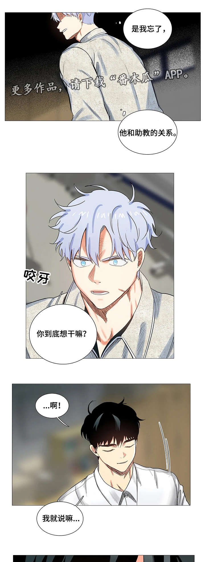 第13章：条件