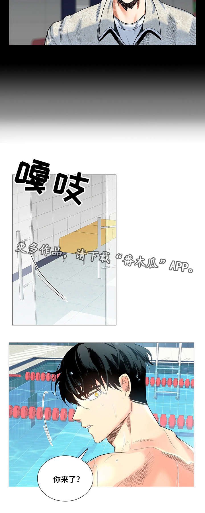 第14章：命令