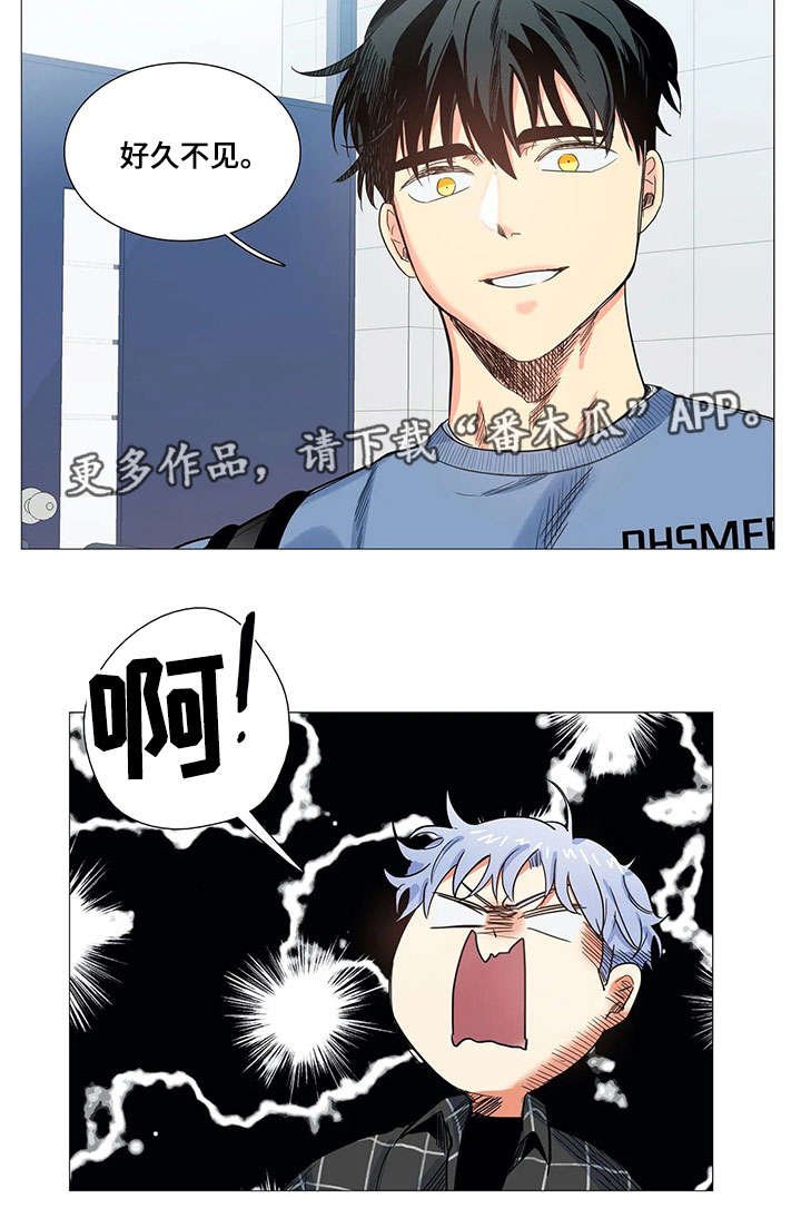 第17章：禁赛