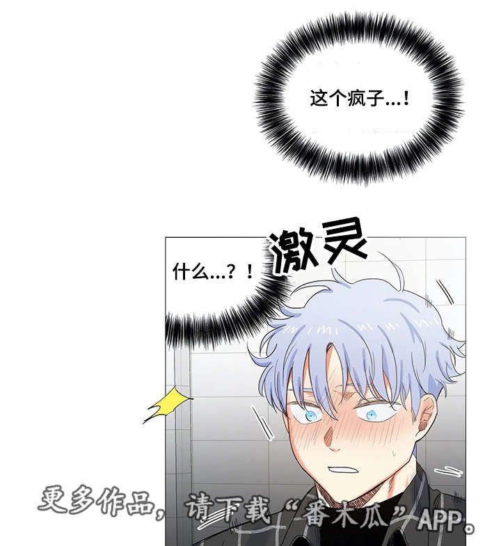 第19章：声音