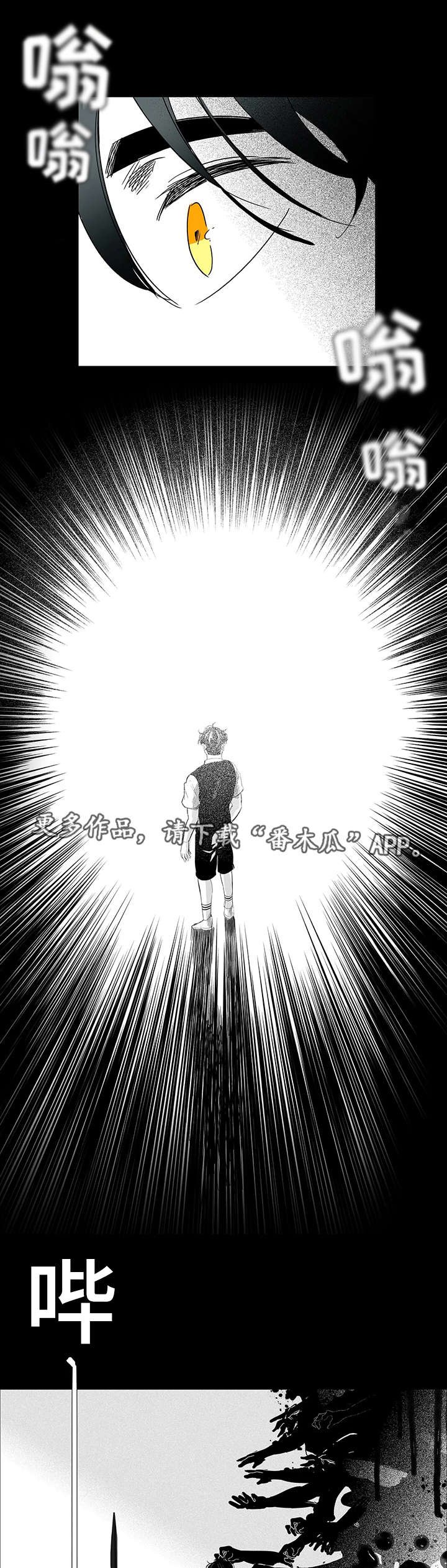 第28章：带回家