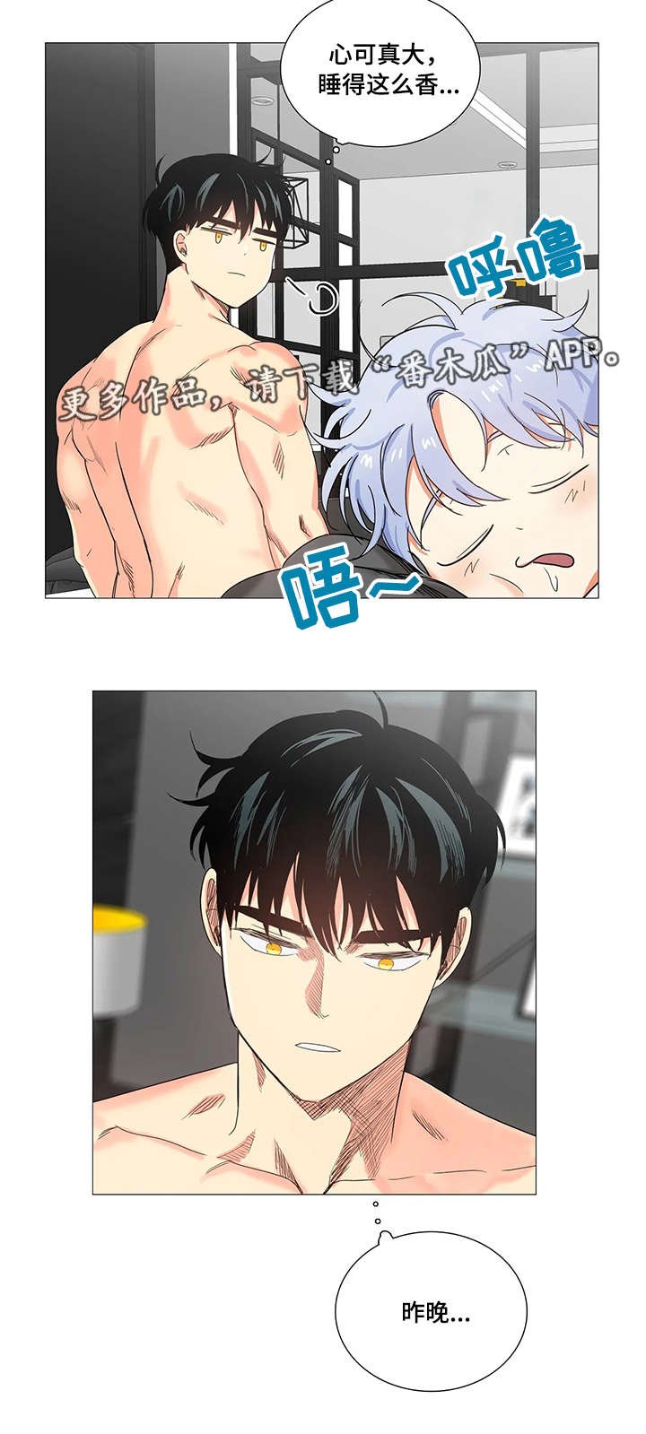 第28章：带回家