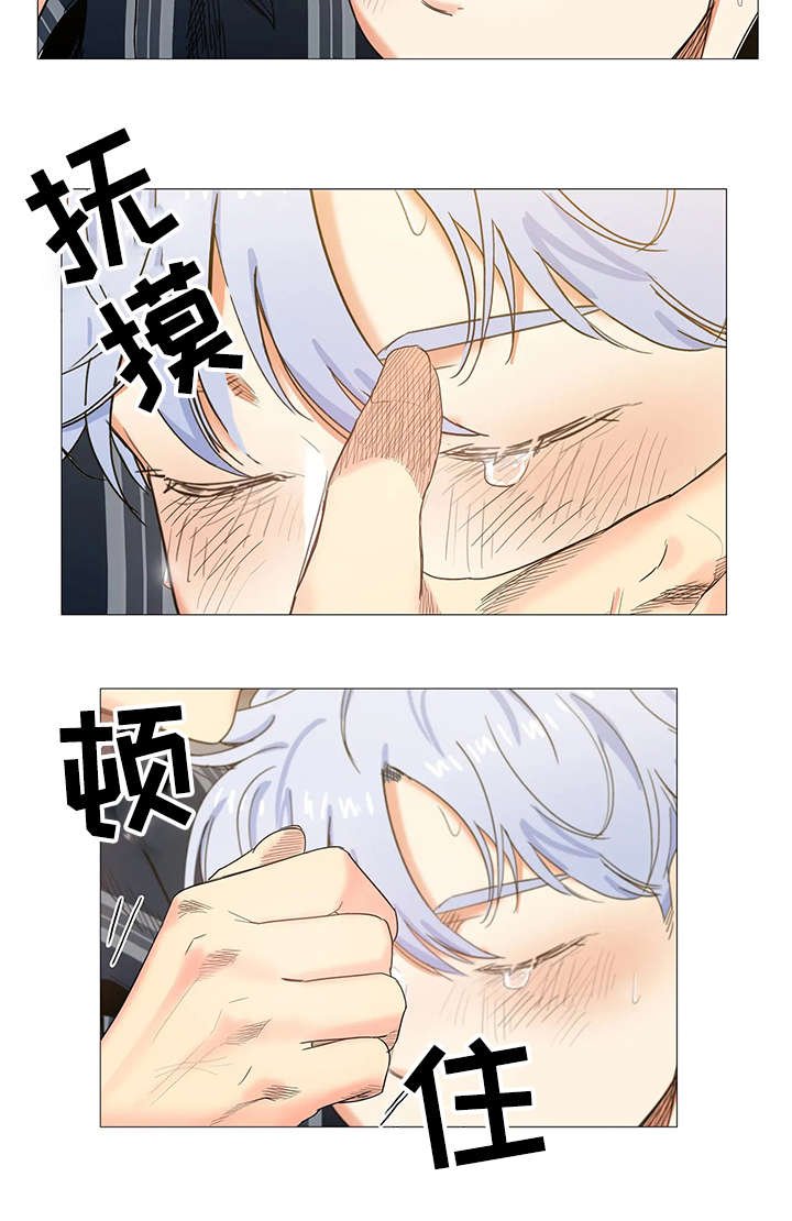 第28章：带回家