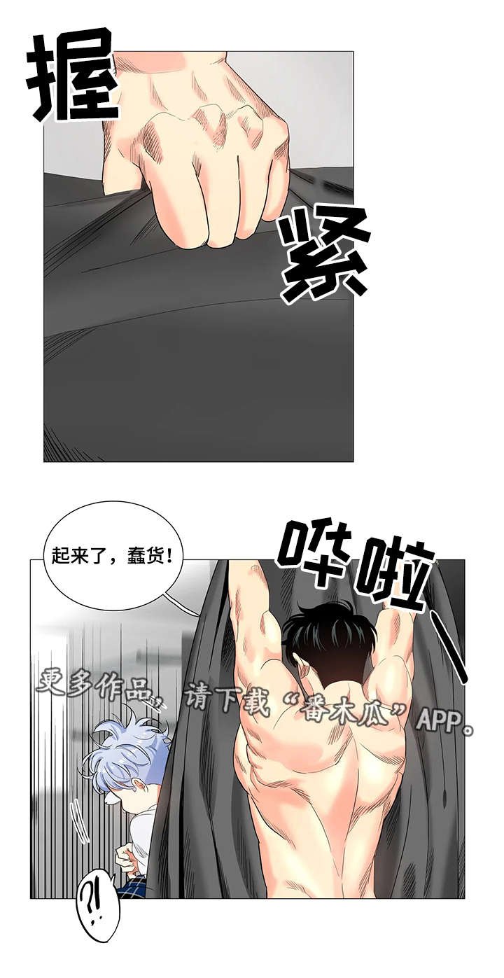 第29章：惊讶
