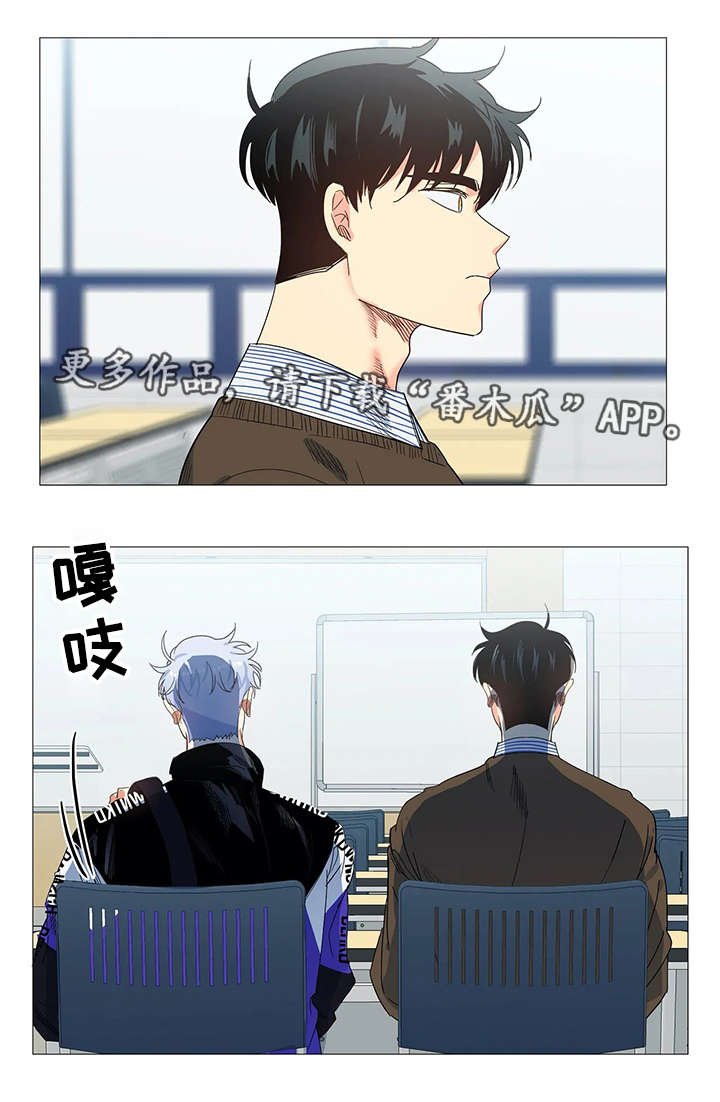 第32章：画像
