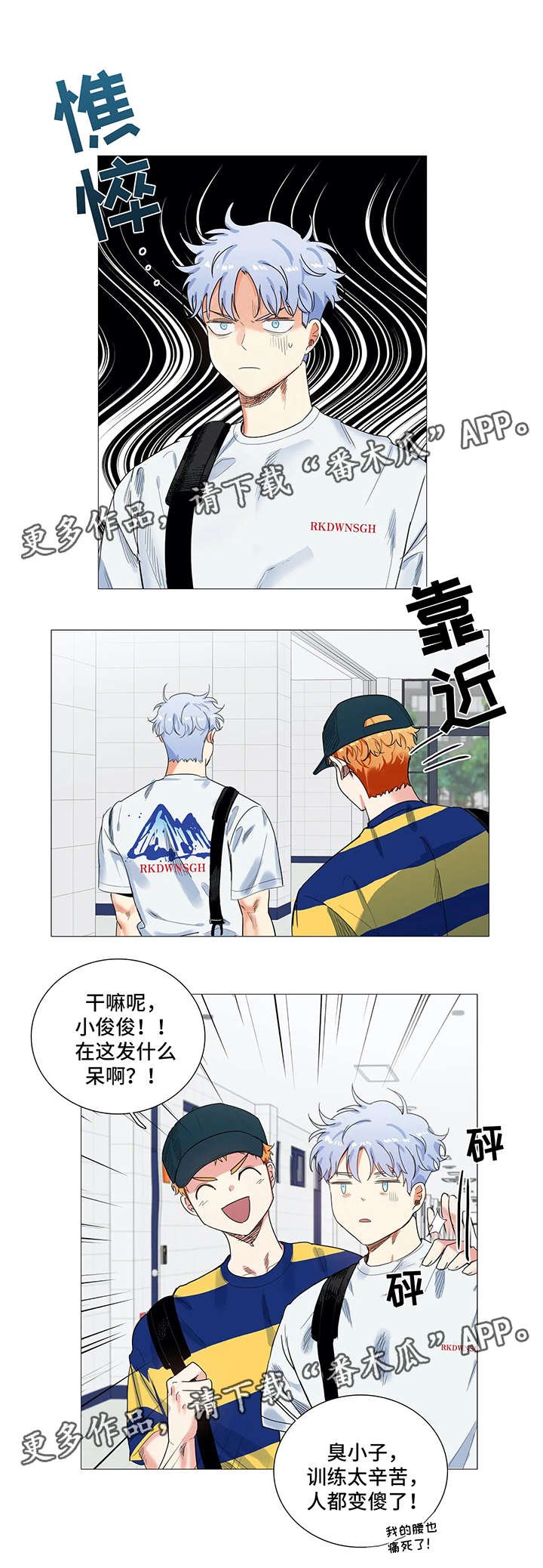 第36章：小组调查