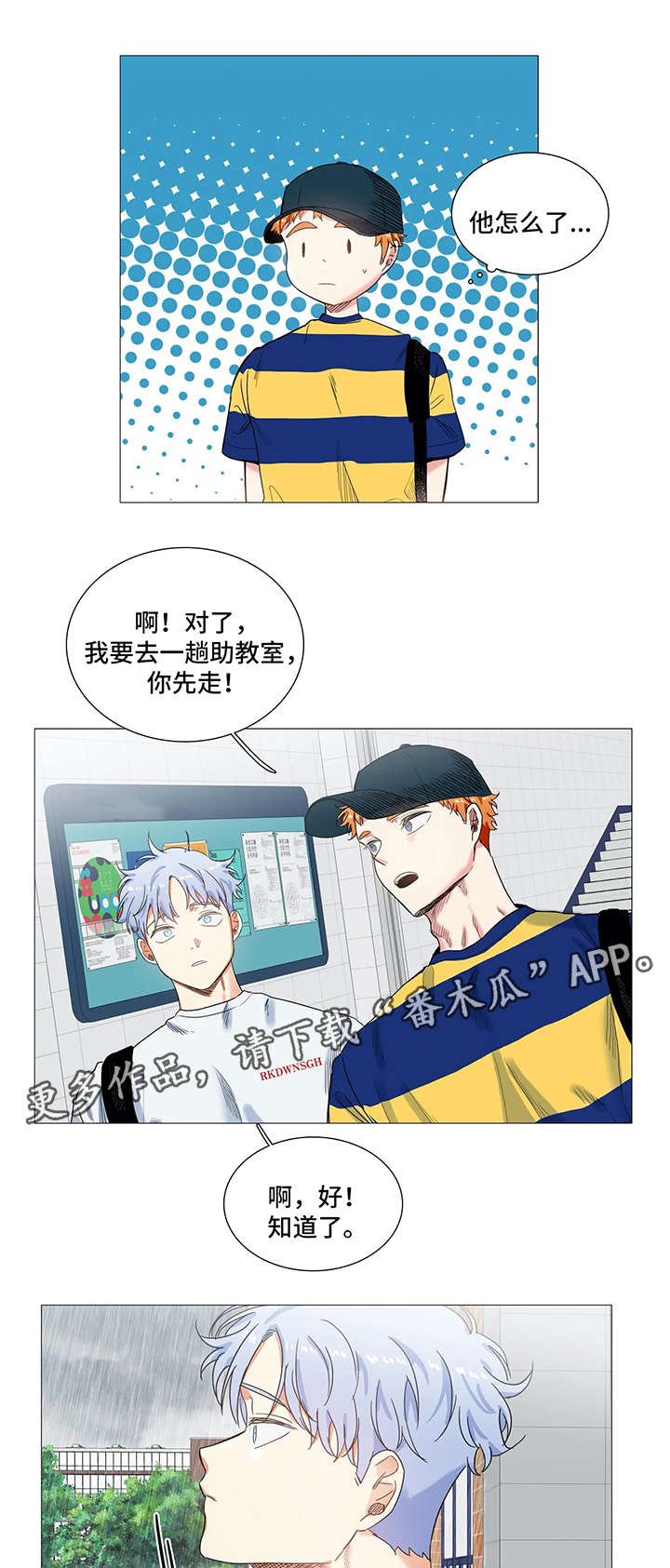 第36章：小组调查