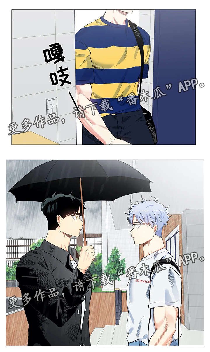 第37章：下雨