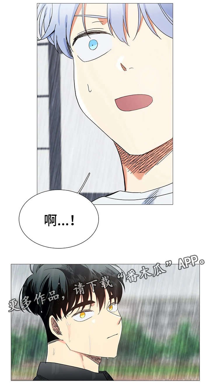 第37章：下雨