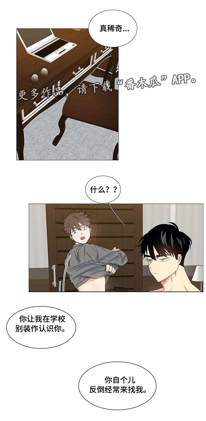 第4章：女朋友
