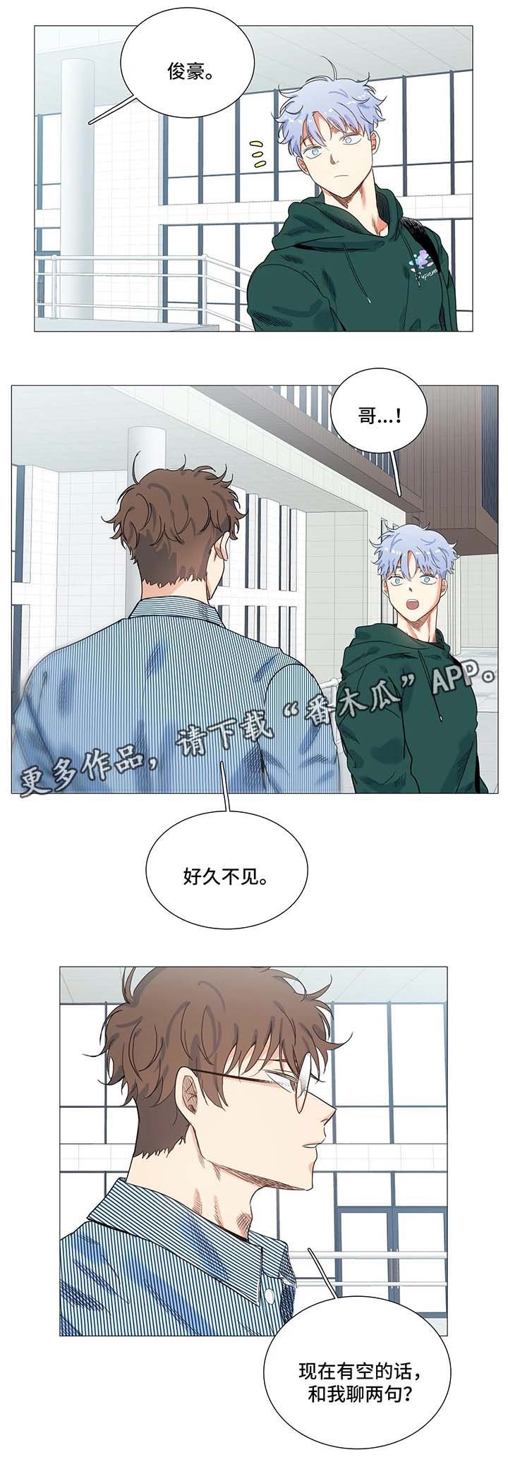 第41章：聊天