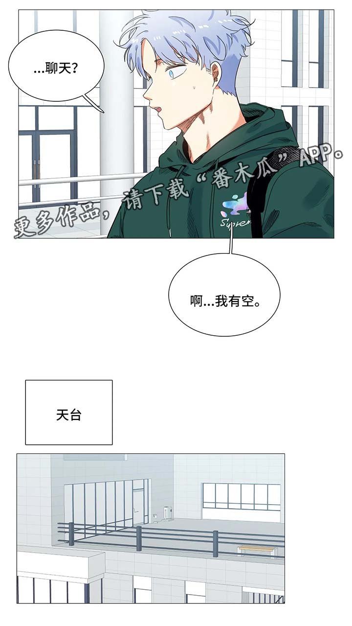 第41章：聊天