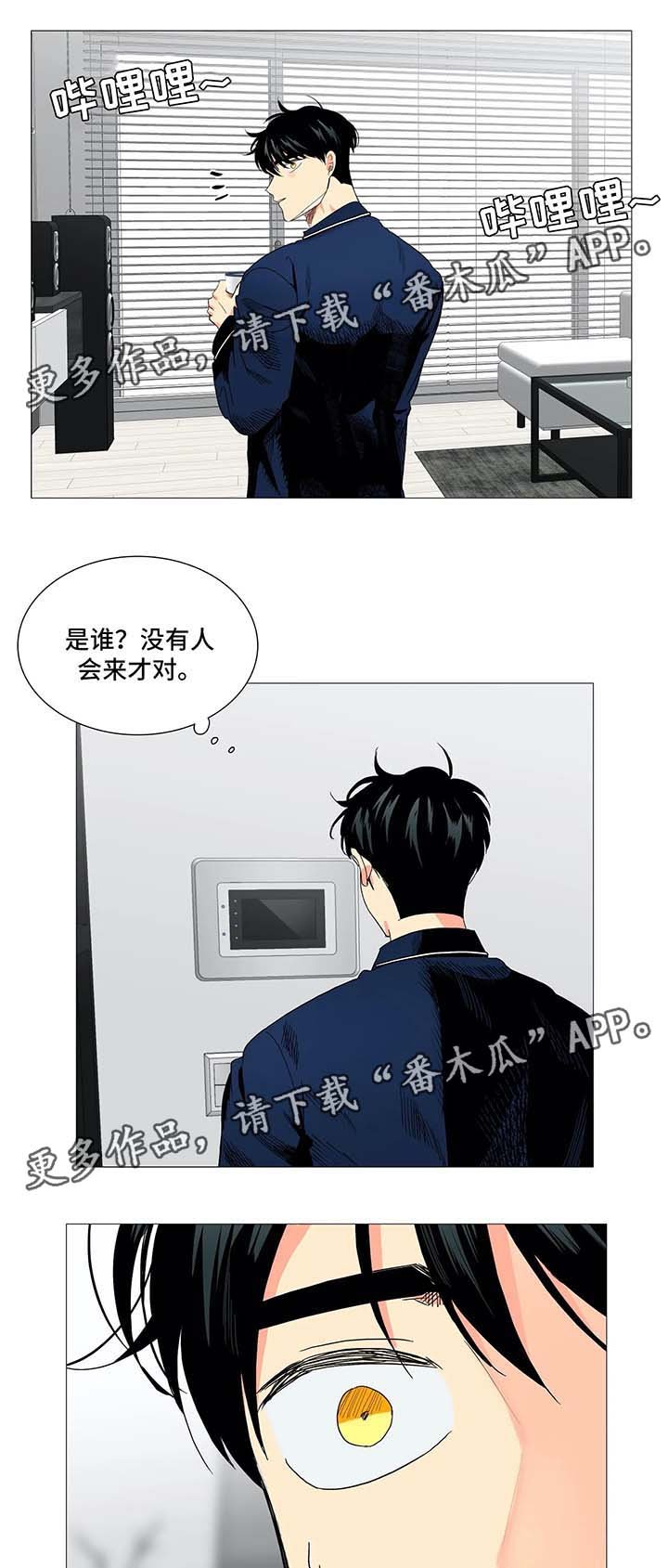 第43章：淤青