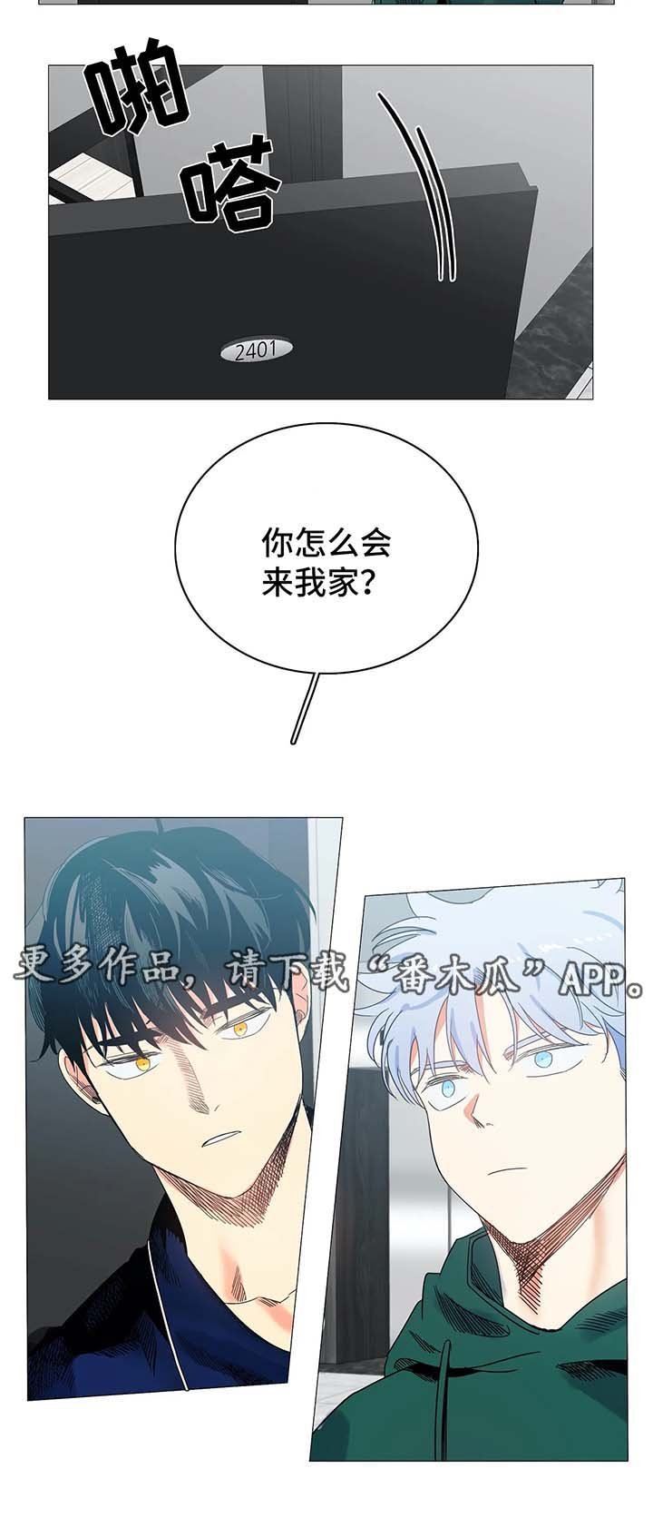 第43章：淤青