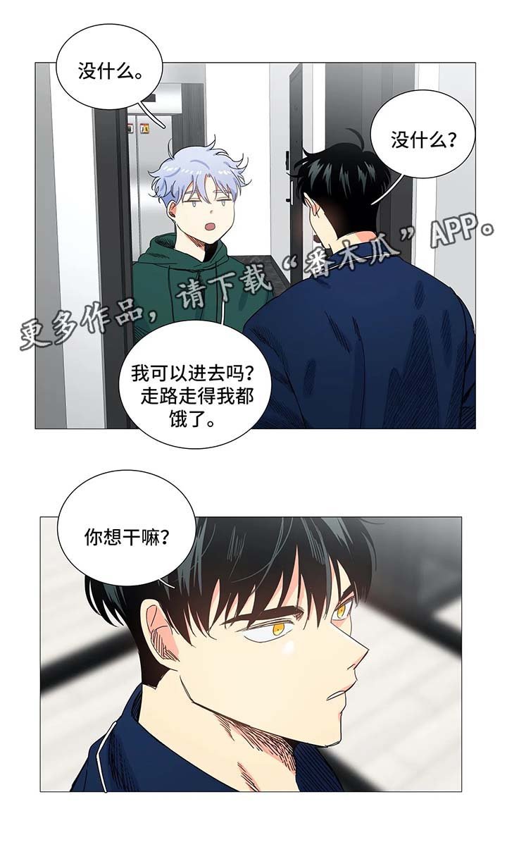 第43章：淤青