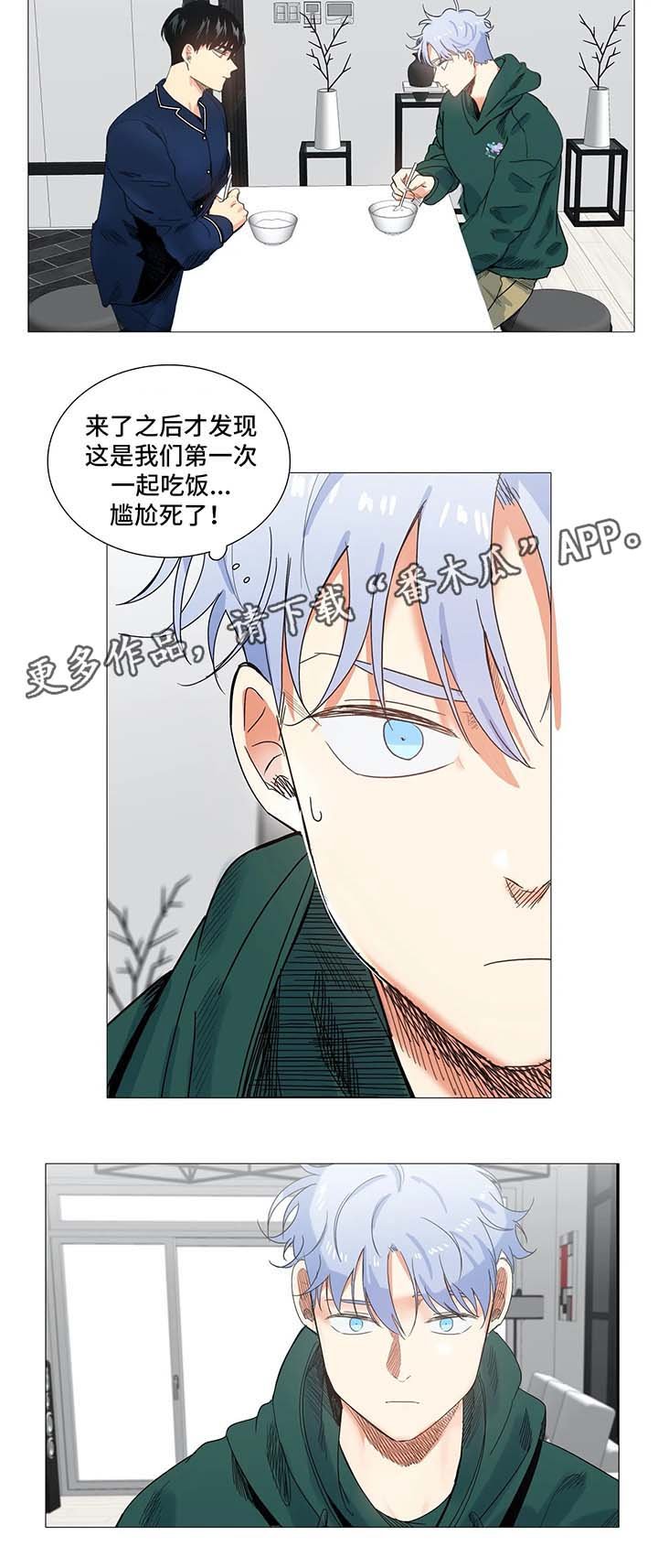 第43章：淤青