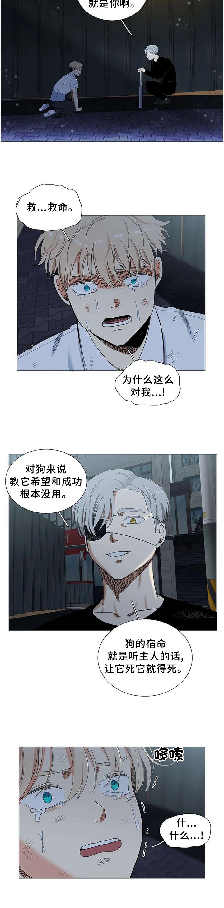 第68章：没事的