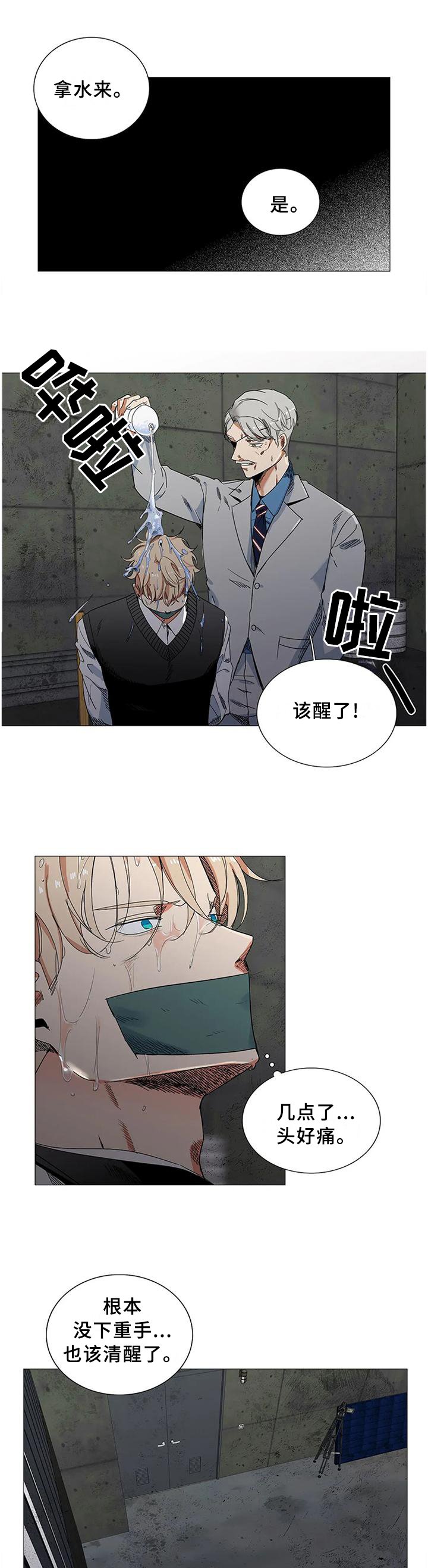 第74章：愚蠢的想法