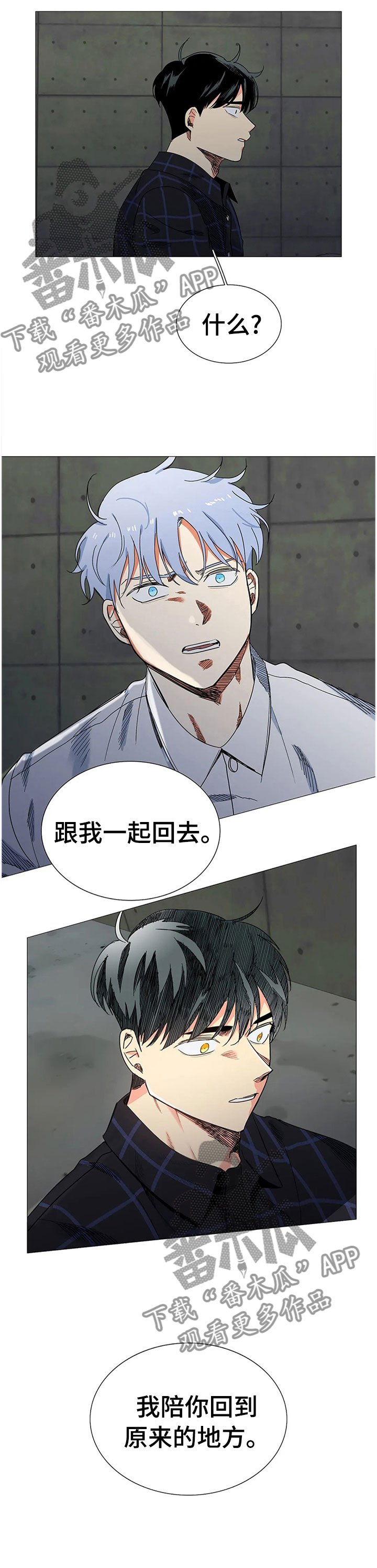 第78章：警察来了