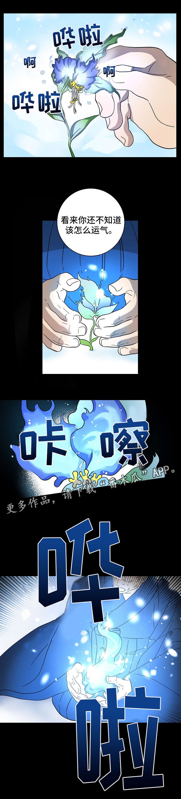 第18章：发芽