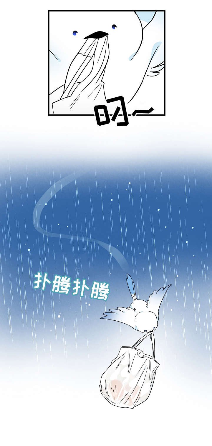 第4章：保护