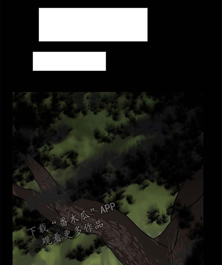 第50章：我来帮你