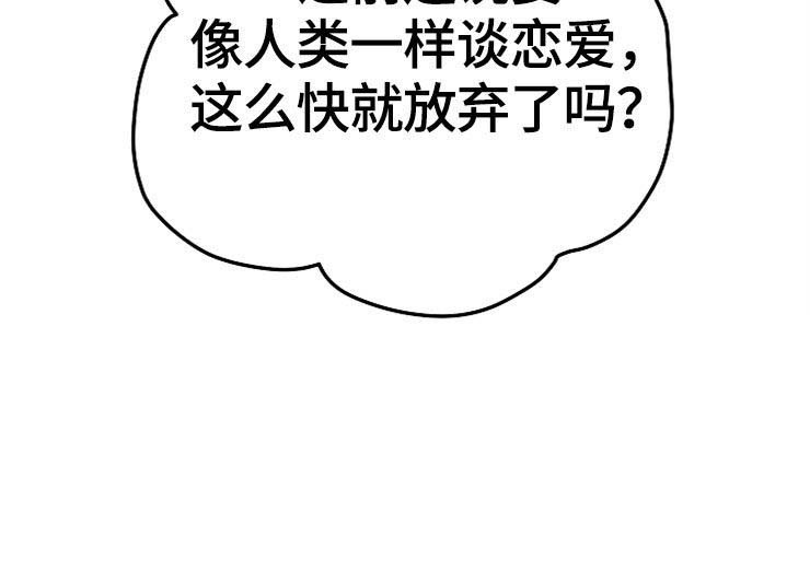 第62章：计划