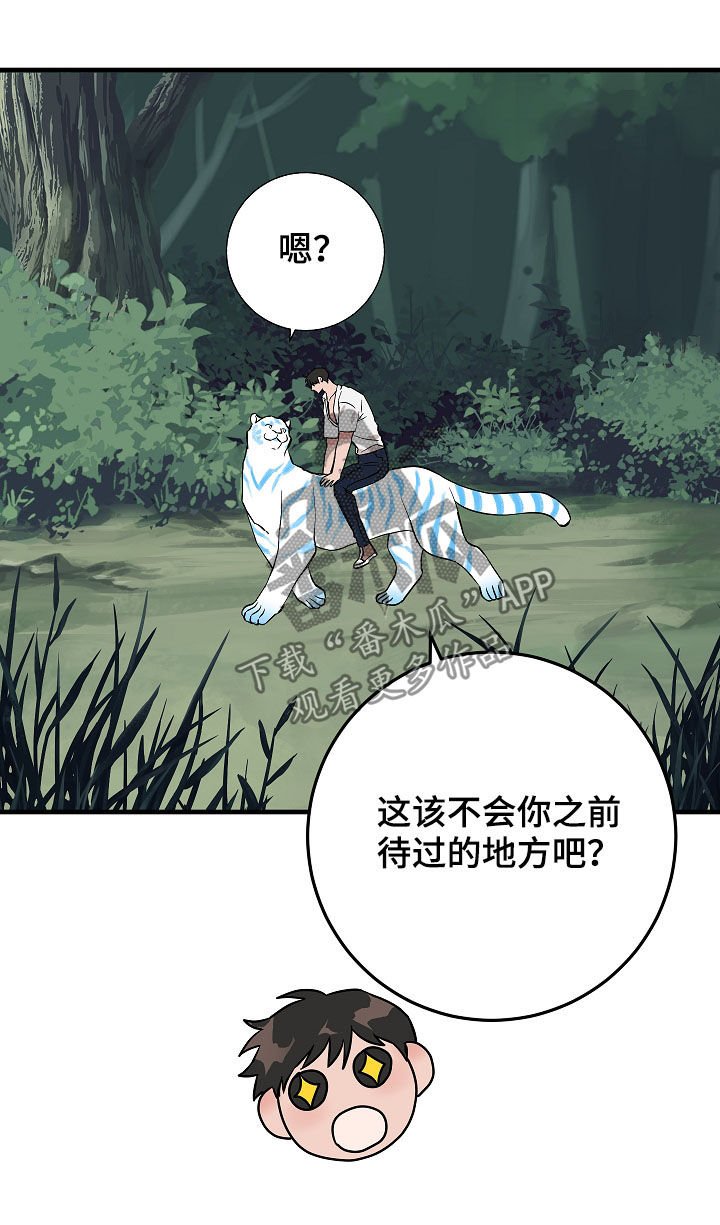 第78章：你才发现