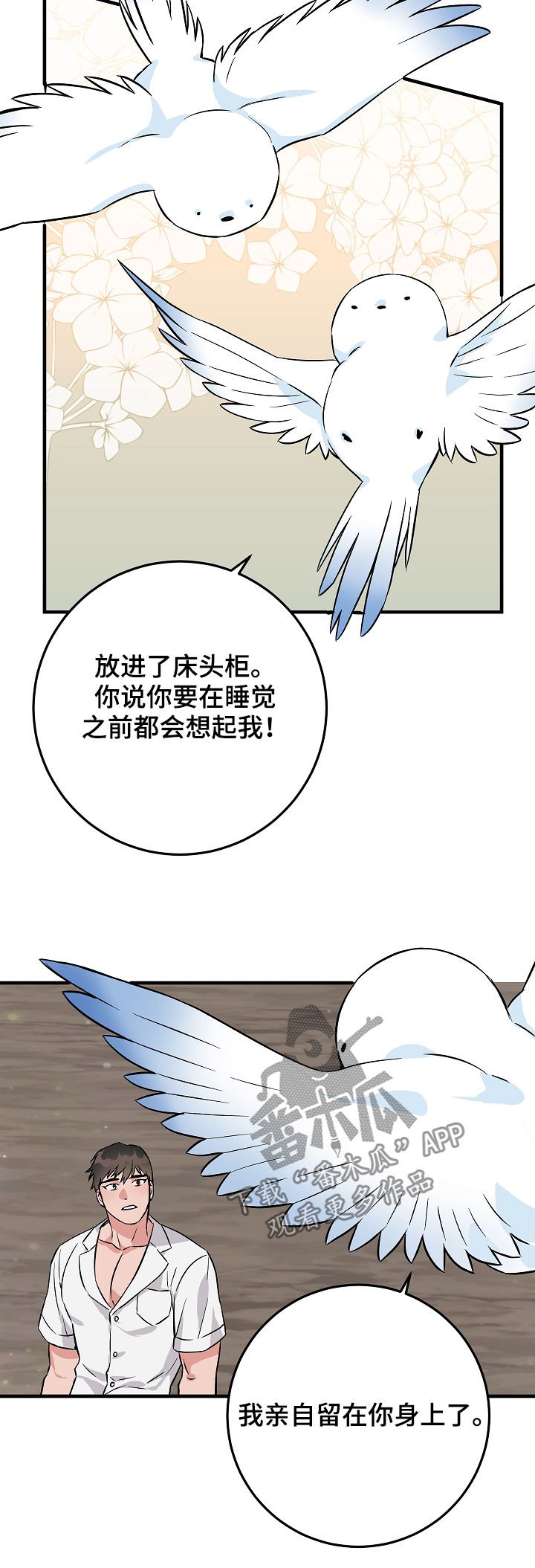 第84章：戒指到手