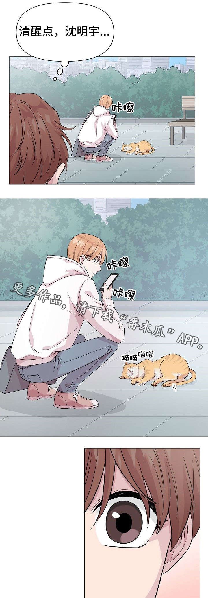 第13章：喜好