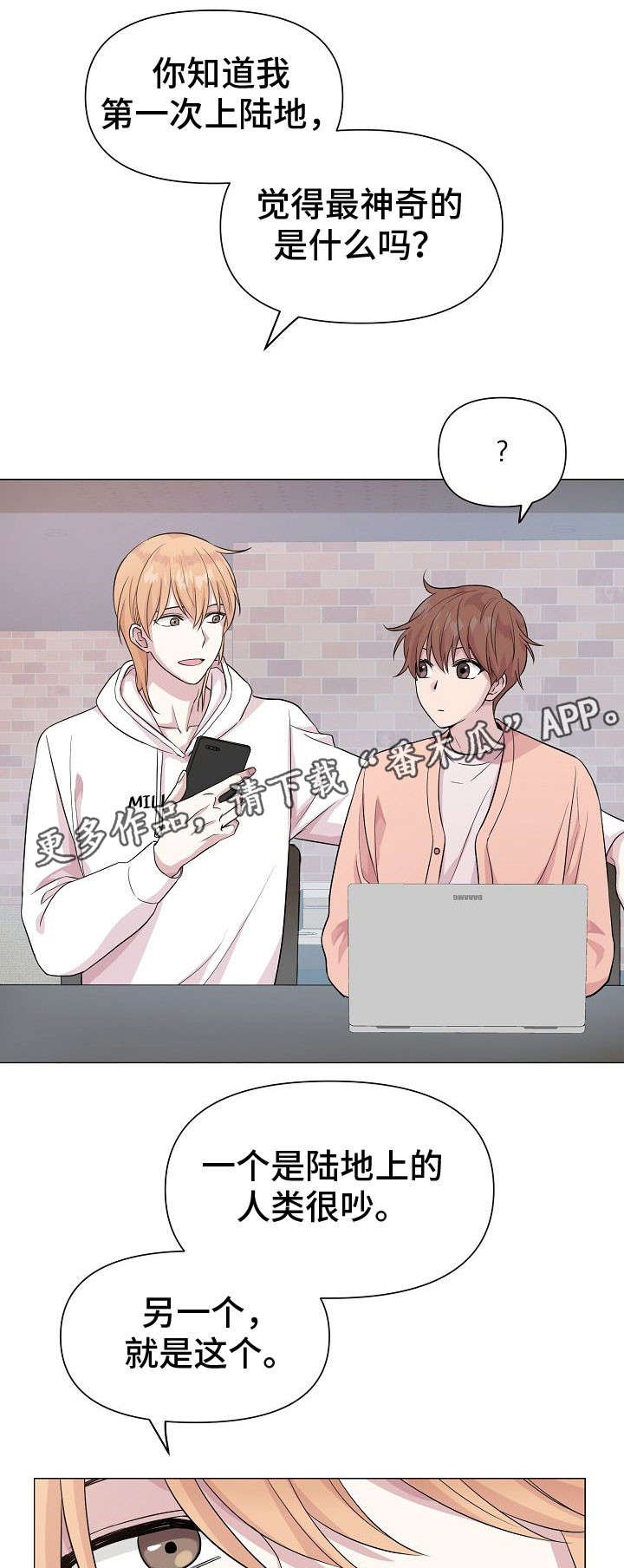 第13章：喜好