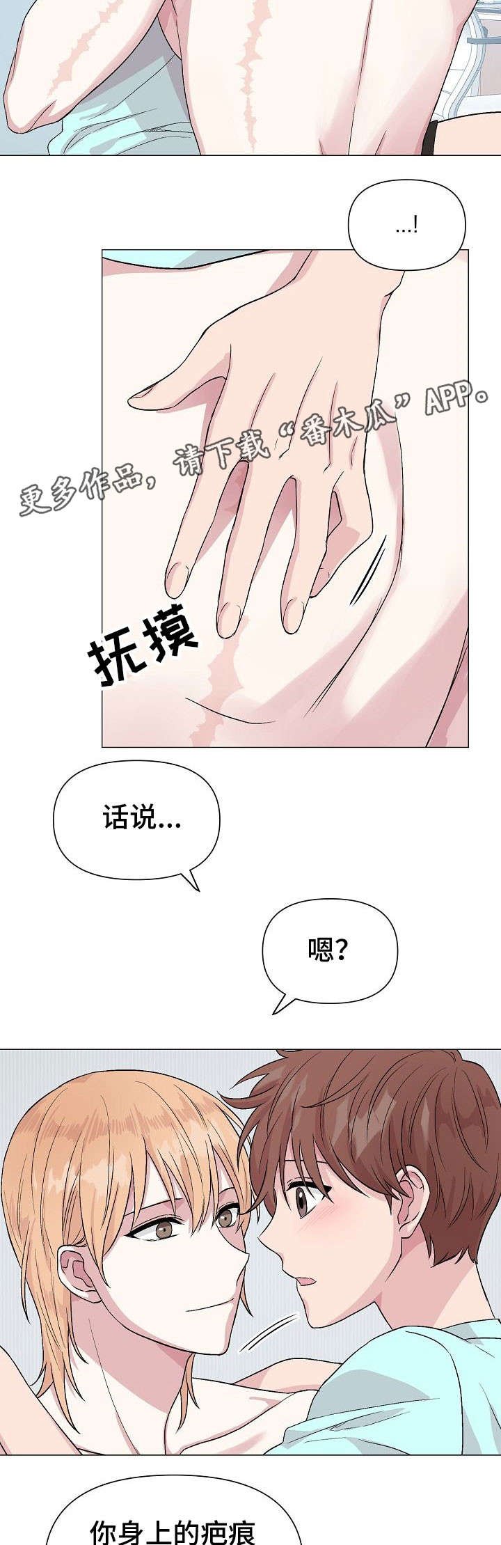 第17章：疤痕