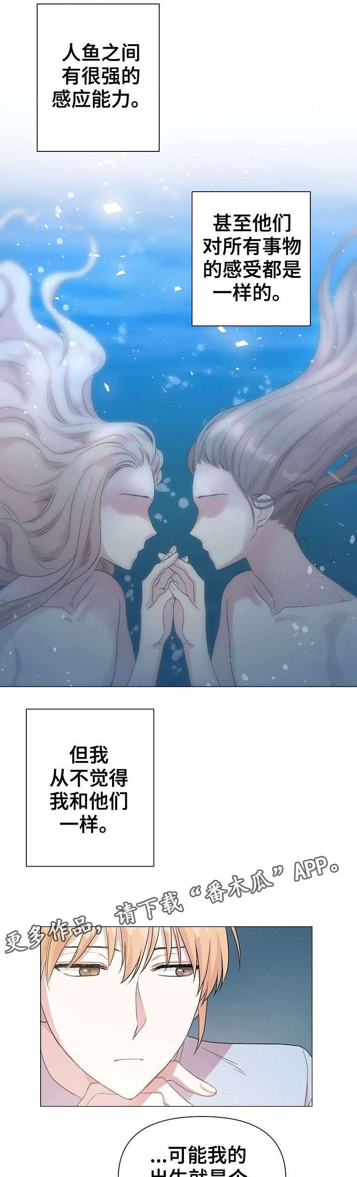 第19章：同类