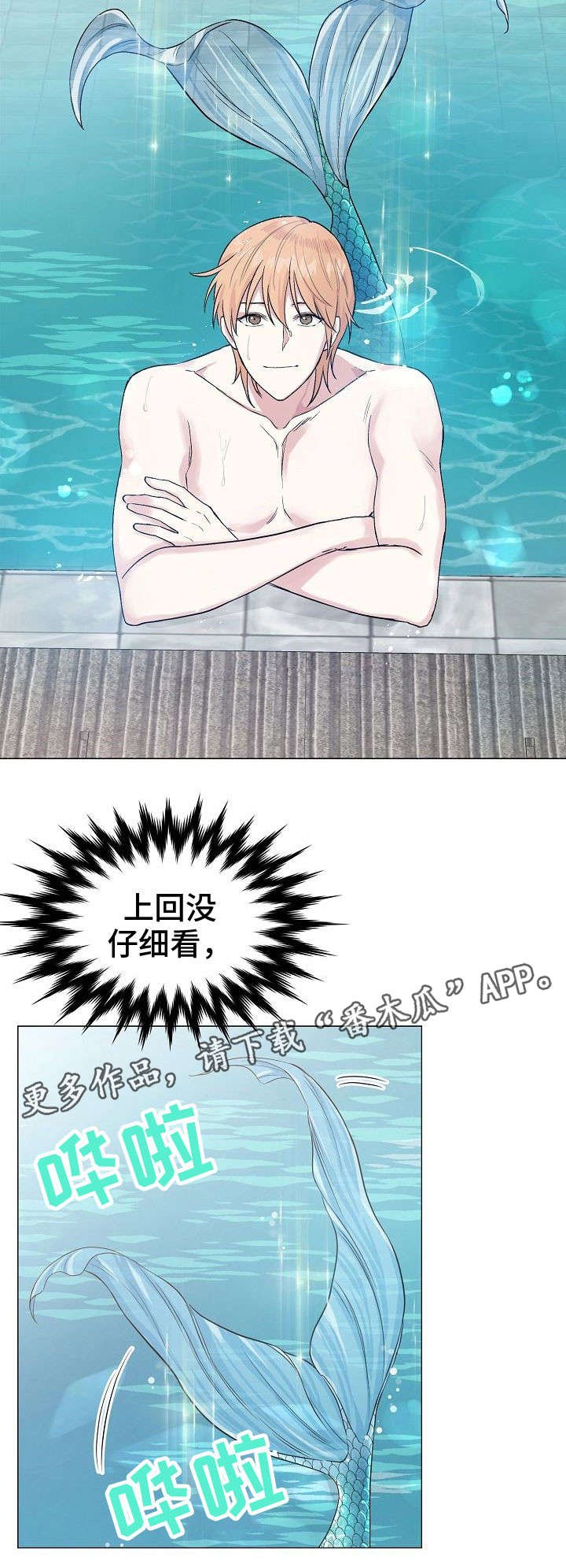 第22章：鱼鳞
