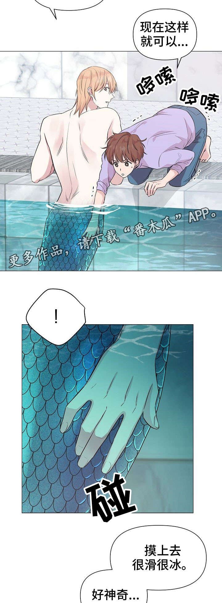第22章：鱼鳞