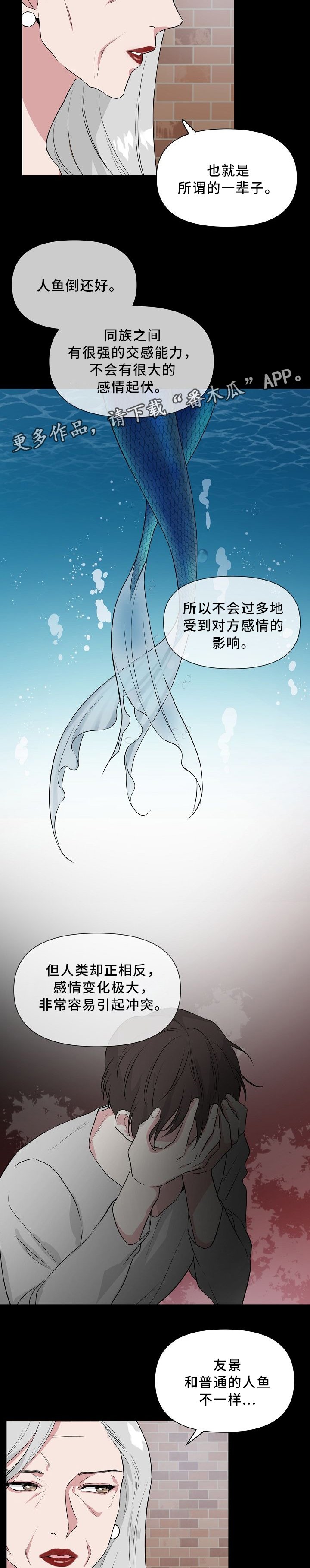 第35章：标记