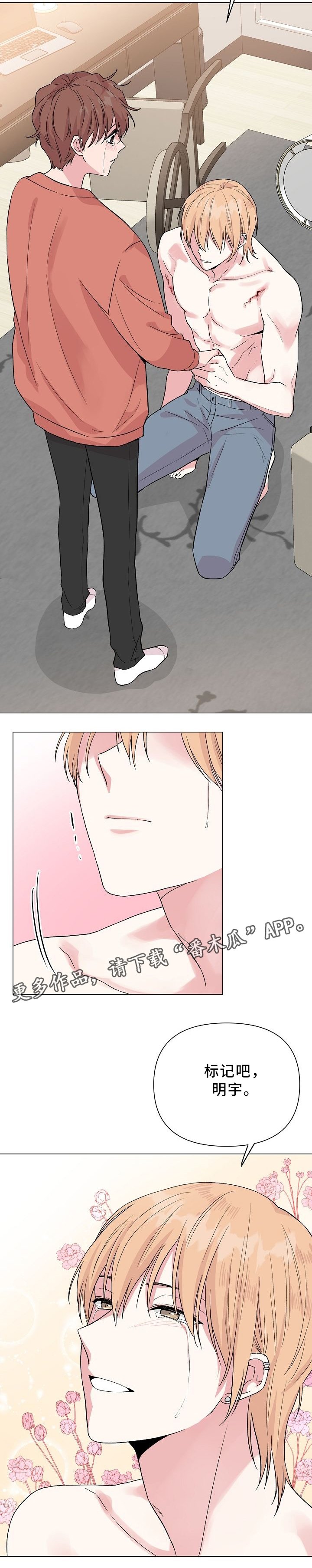 第42章：标记吧!