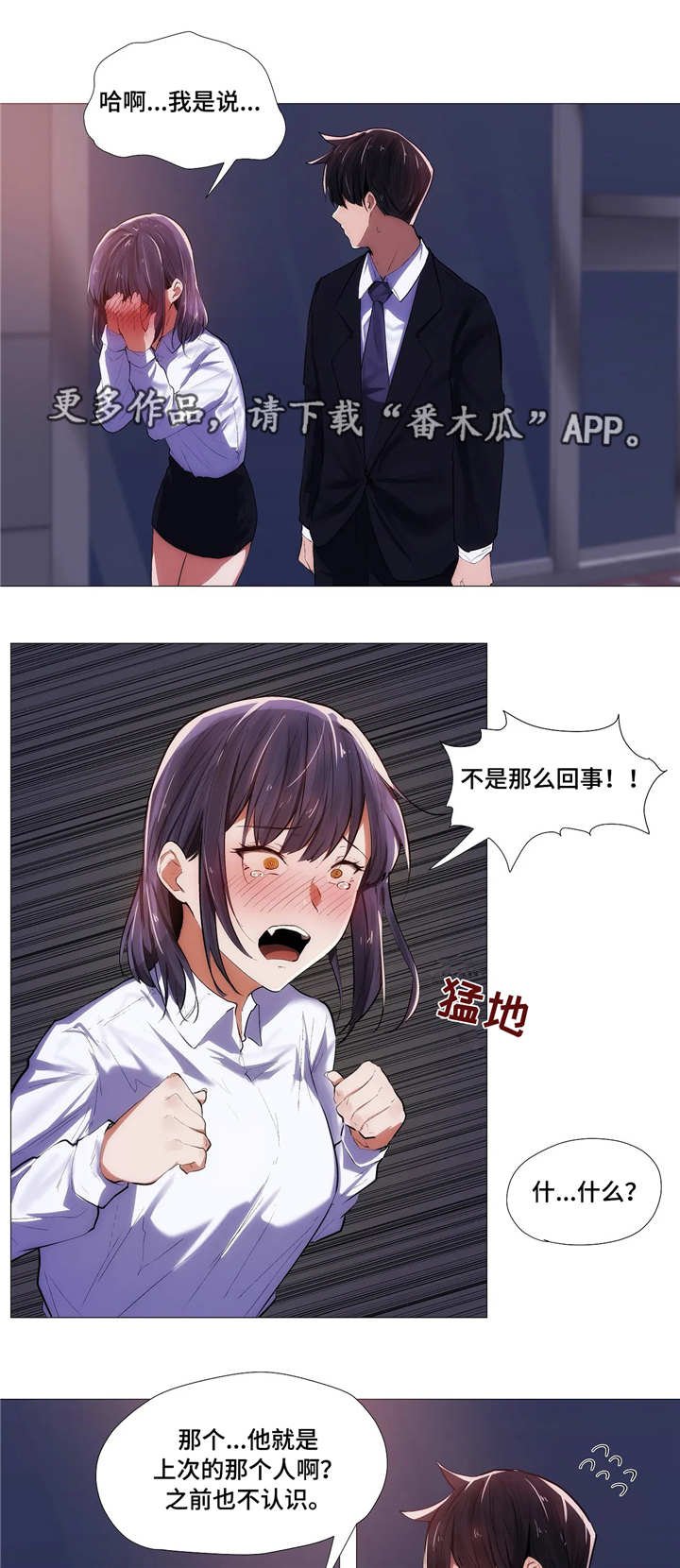 第11章：解释