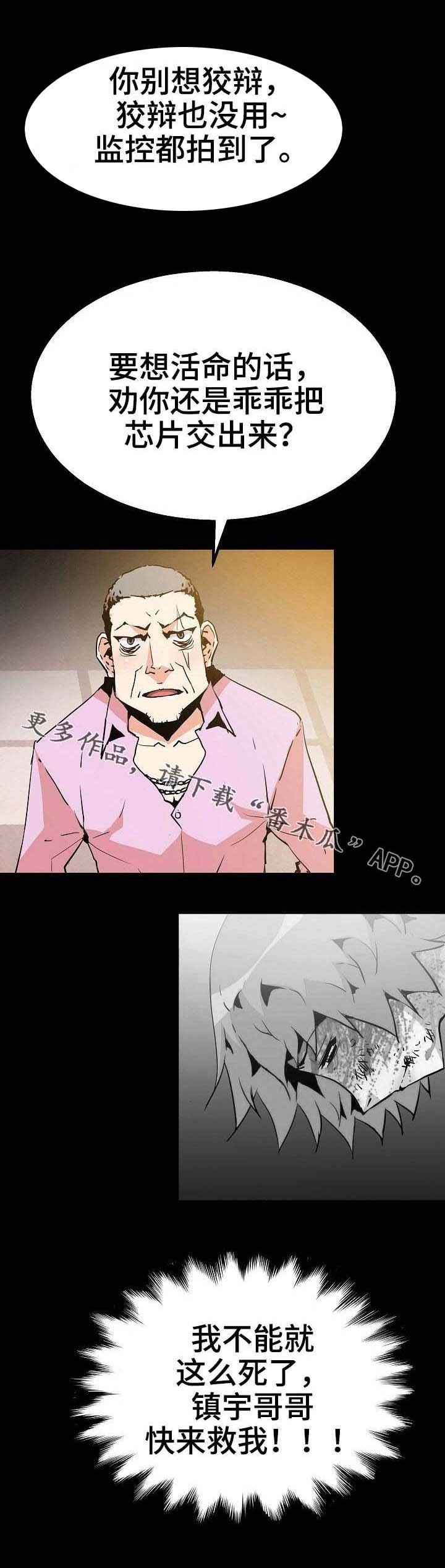 第43章：开始行动