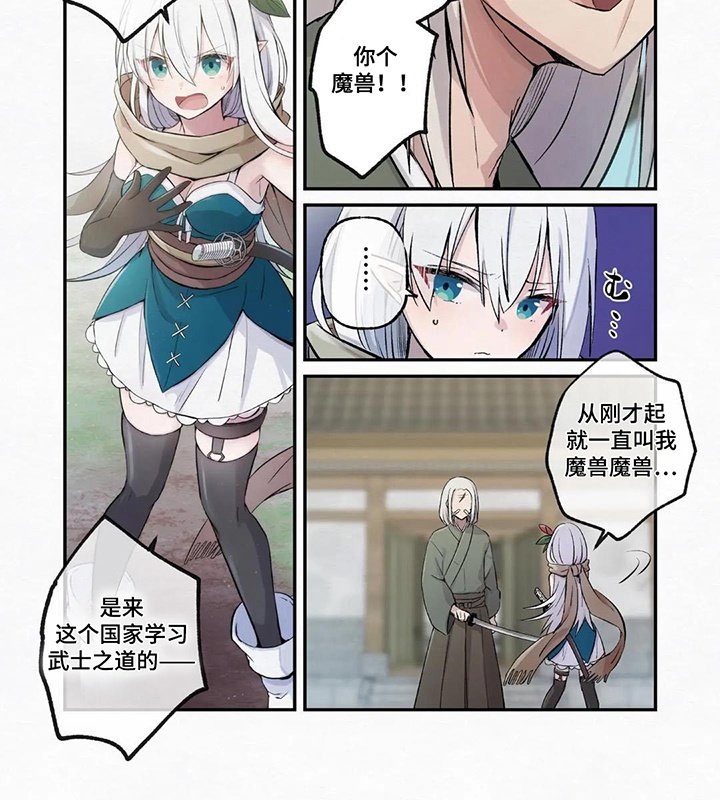 第9章：弱点