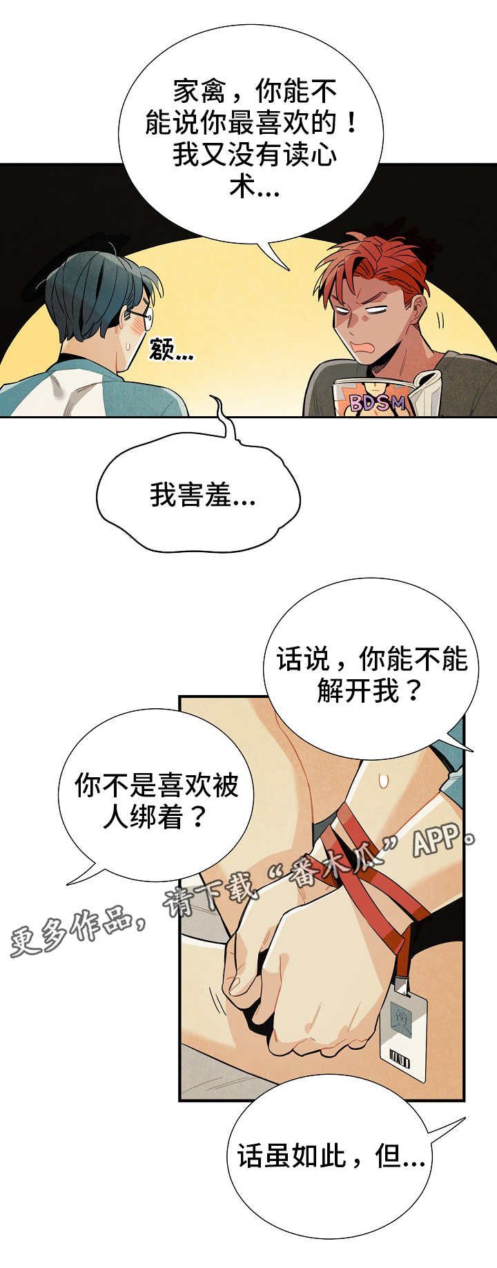 第13章：配合